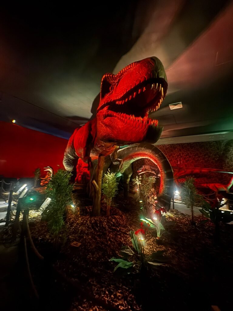 whatsapp image 2026 01 23 at 19.21.57